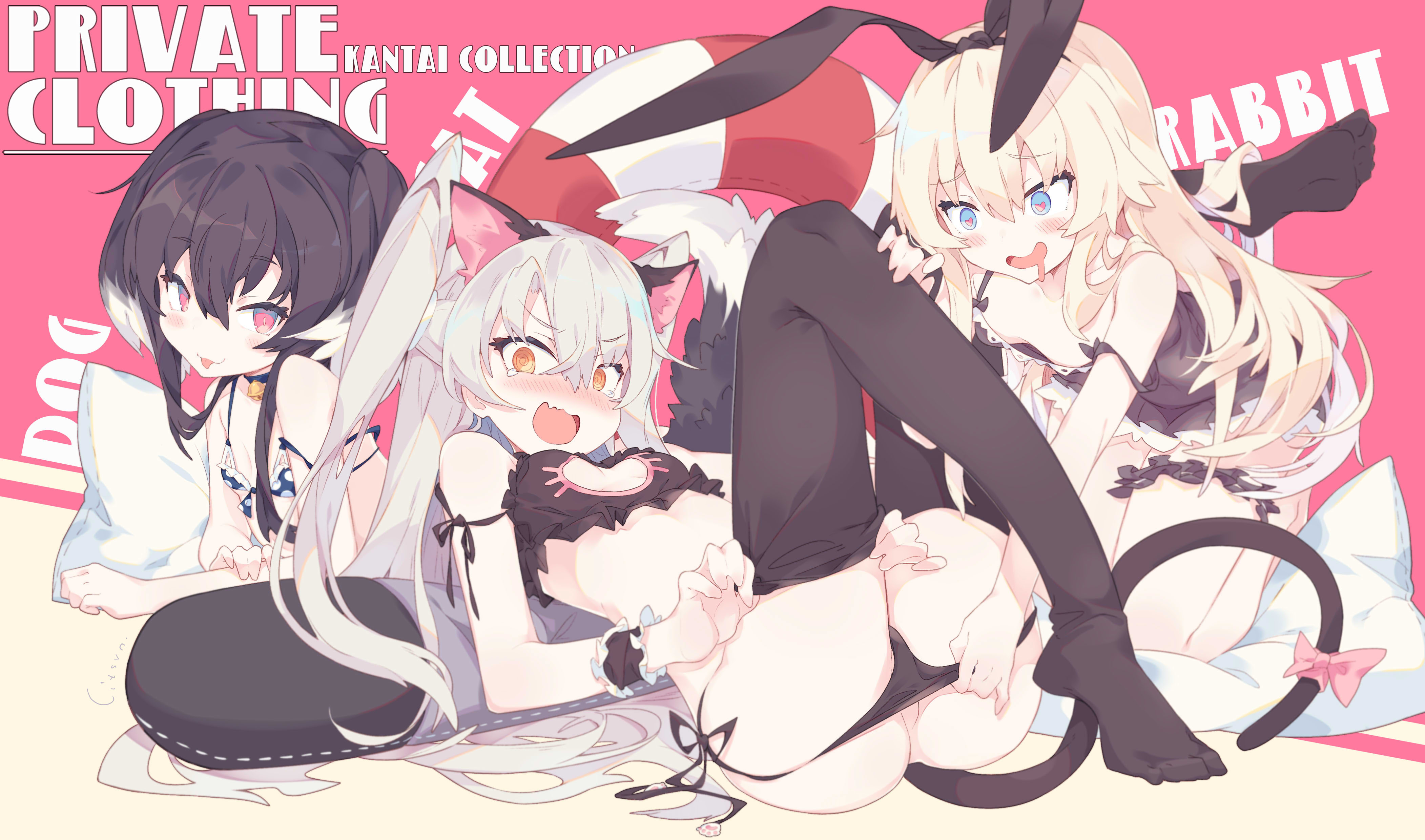 The cover picture of the previous content